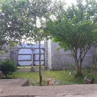 تمیزکار منزل خانم