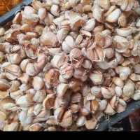 سیرمحلی