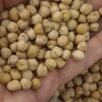 نخود روس سایز 8 (آش و فلافل)