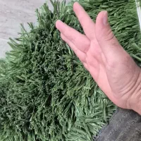 چمن مصنوعی نو هلندی خارجی