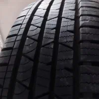 لاستیک تیگووجک