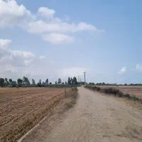 فروش زمین کشاورزی  ۴۰۰۰  متری