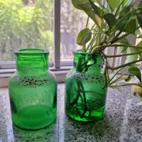 گلدان شیشه ای