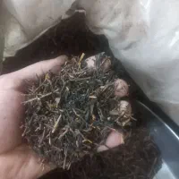 چای صددرصد خالص بدون افزودنی ایرانی