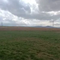 یک-قطعه-زمین-کشاورزی-نزدیک-به-جاده-در-شاهزید