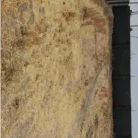 زمین-اباری