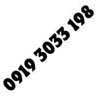 0919.3033.198