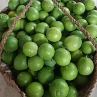 آبلیمو گیری دشت بزرگ