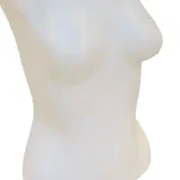 ۱۲ عدد نیم تنه مانکن پلاستیکی مخصوص بوتیک
