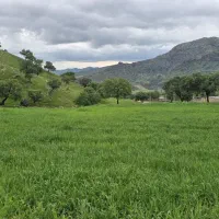 زمین۲۵۰متری مازه خریده اخر کوچه فرهنگ نزدیک به طرح