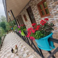 ویلا سه واحدی با جکوزی