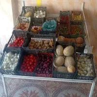 میوه فروشی
