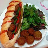 استاد کار فلافل هستم  با ۱۸ سا سابقه