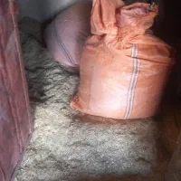 کاه|لوازم جانبی حیوانات|سرپل ذهاب, |دیوار