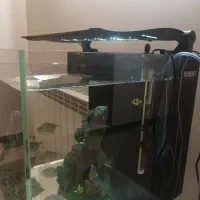 آکواریوم سبو ۶۰ لیتری کامل با ماهی و لوازم