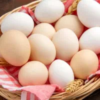 تخم مرغ نظر گرفتن