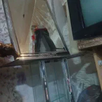 اینه شمعدانی