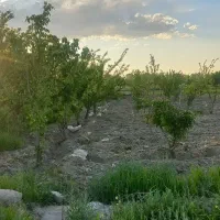 زمین  زیرکمربندی وصل شهر