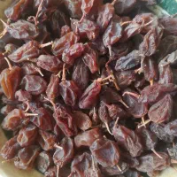 کشمش بدون هسته انگور عسکری