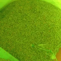 10تا گونی جو فروش کیلو 50دیم کسی خواست در خدمتم