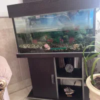 آکواریوم با کلیه وسایل و لجنخوار