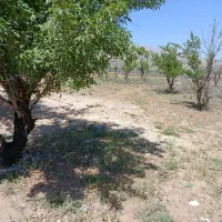 فروش-زمین-قطعه-بزرگ