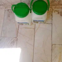 بیست عدد دبه ماست سالم و تمیز