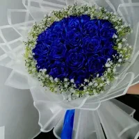 گل روبانی