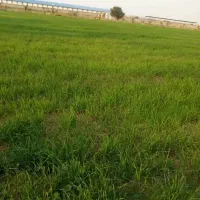 زمین ۲۰۰۰متری  سه راهی بندرریگ