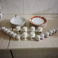 ظروف پذیرایی