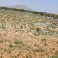 زمین در  خود چادگان