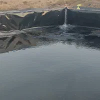ورق ژیو ممبران
