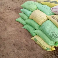 کود گوسفندی کیسه ای  درجه1