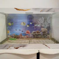 آکواریوم|ماهی|رباطکریم, مسکن مهر آبشناسان|دیوار