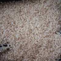 برنج سالم وسرلاشه  دورود با عطر و طعم و کیفیت خوب