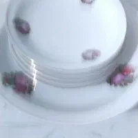 ظروف چینی