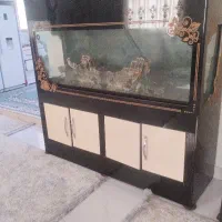 آکواریوم سایز بزرگ