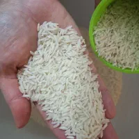 برنج هاشمی