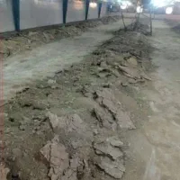 کود مرغ