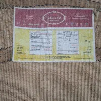 پادری سالم بدون هیچ ایرادی