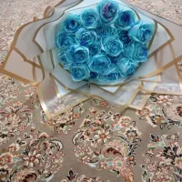 20شاخه گل شاین دار
