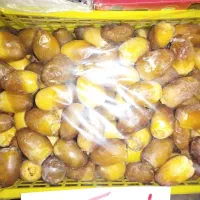 خرما طبسی درشت لوکس