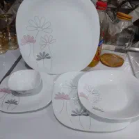 ظروف پذیرایی