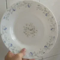 سرویس غذا خوری
