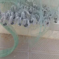 معاوضه تورهای پرتابی نو و دست دو