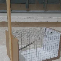 تله قفسی وگیوتینی موش وگربه وکلاغ وسنجاب وروباه ..