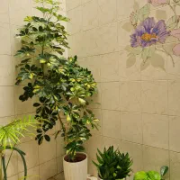 فروش گل طبیعی