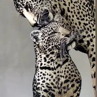 تابلو اینه کاری و سیاه قلم