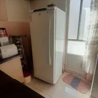 یخچال دوقلو سالم