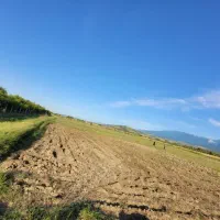 زمین کشاورزی وباغی